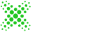 BITHOTEX